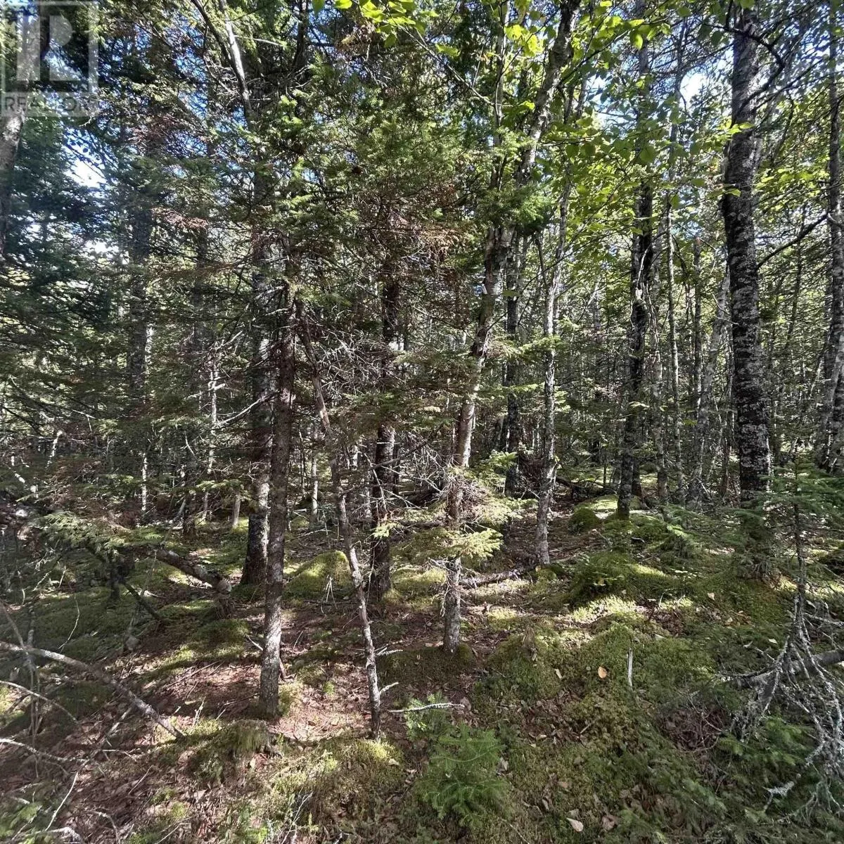 Lot 6-F-A Middle Road