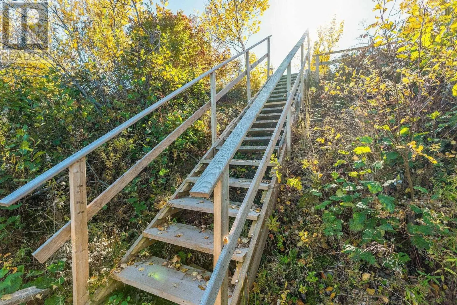 151 Appalosa Trail