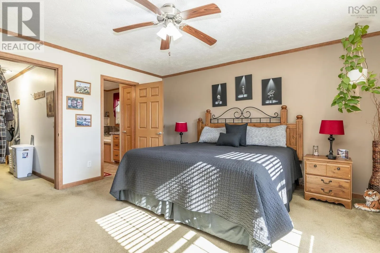 151 Appalosa Trail