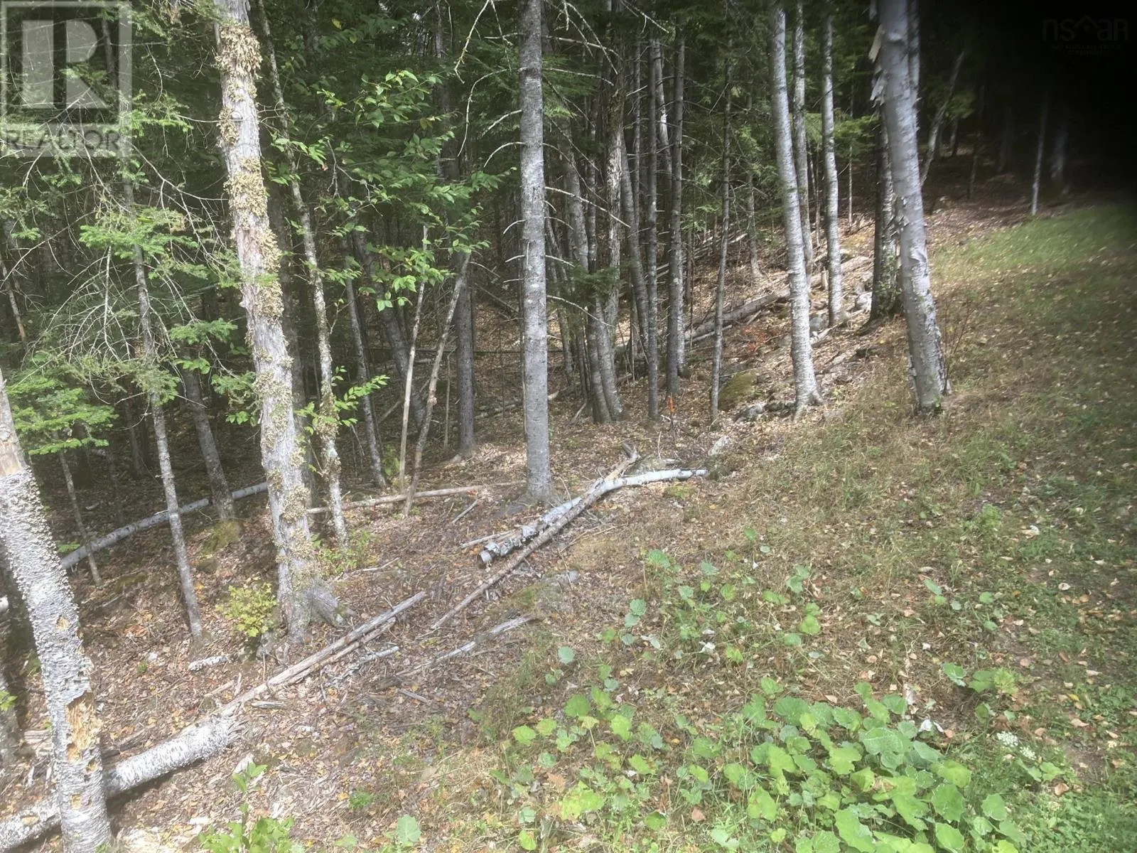 Lot 69 Piper Lane