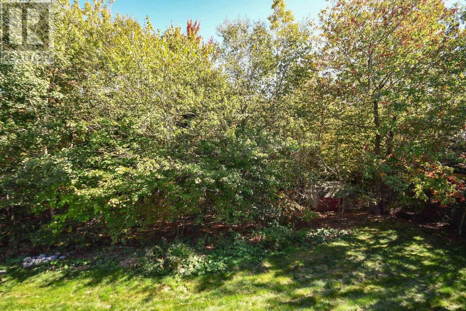 53 Rivendale Drive