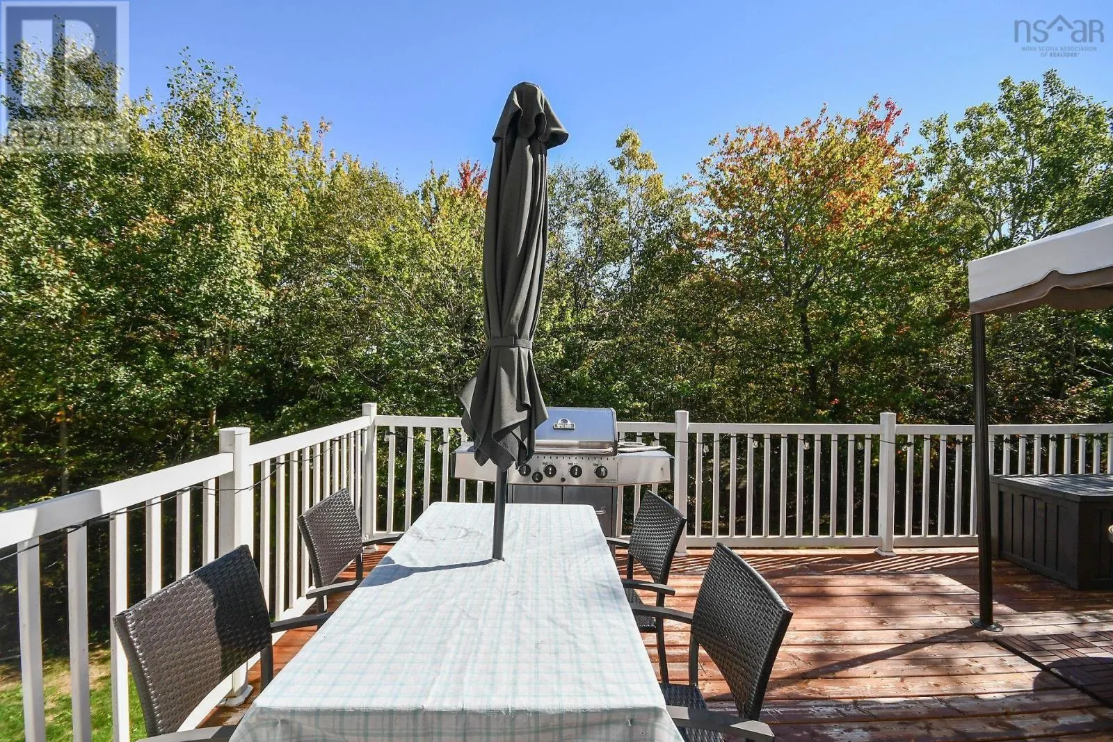 53 Rivendale Drive