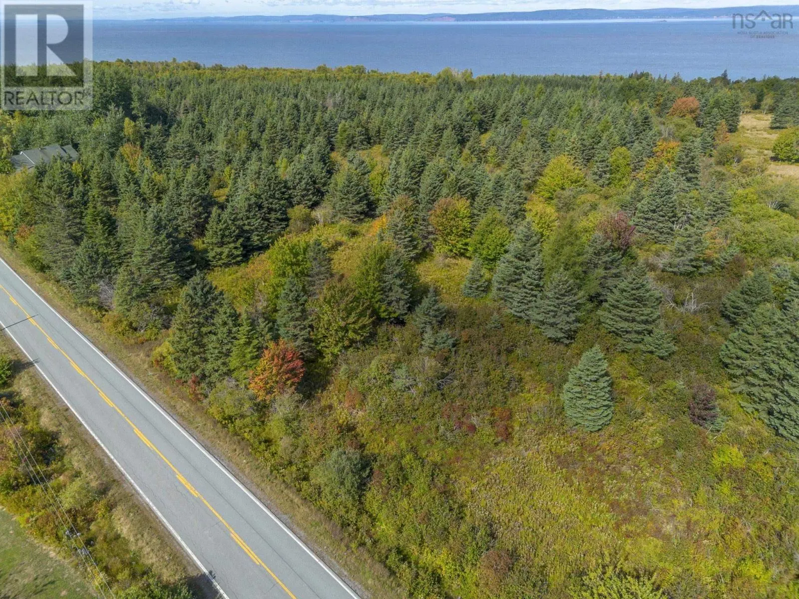 Lot 4 Highway 215