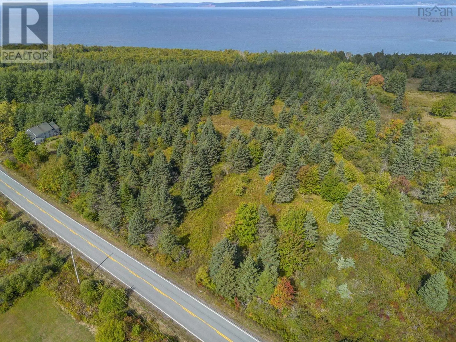 Lot 4 Highway 215