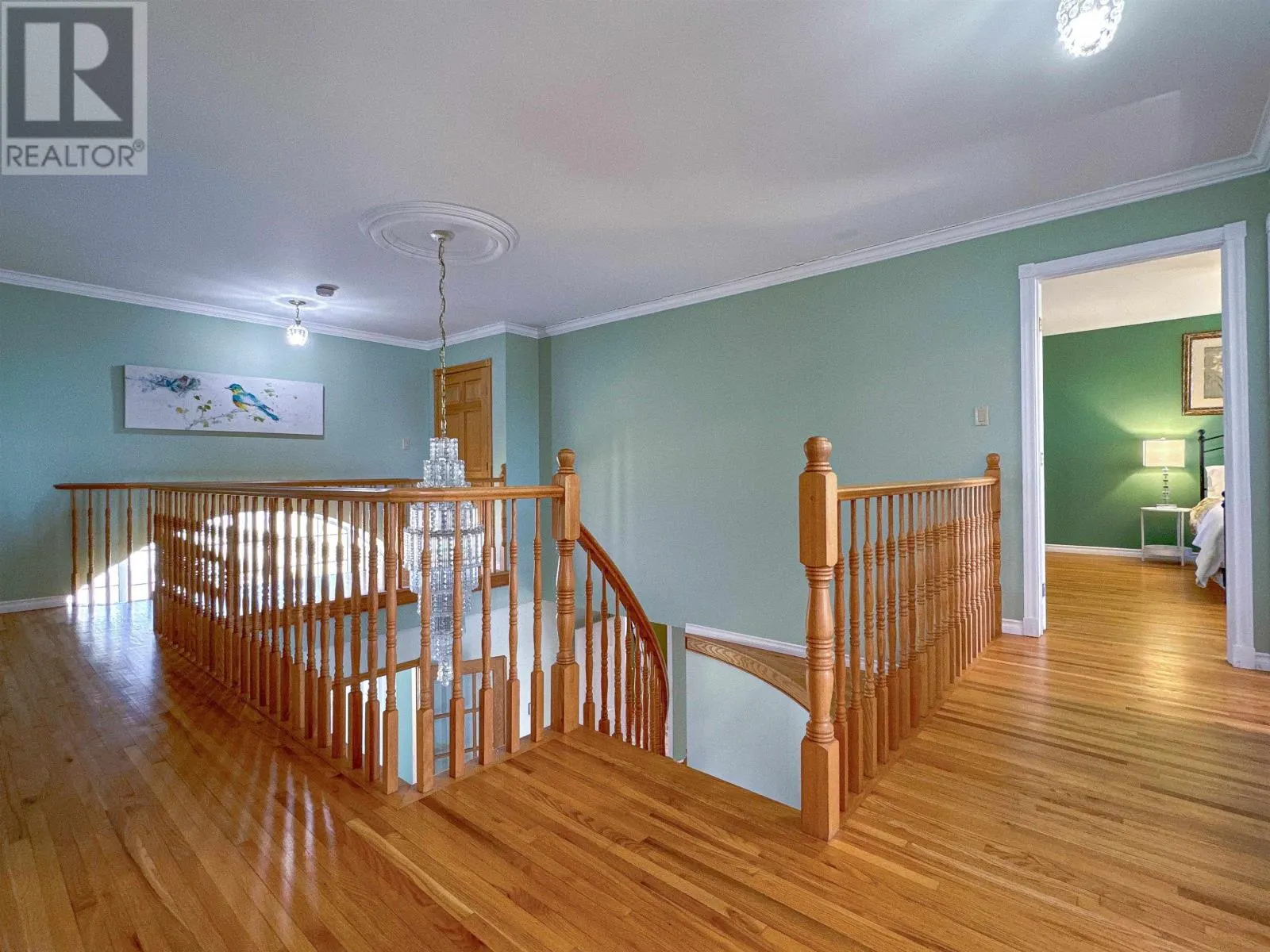 223 Sundance Lane