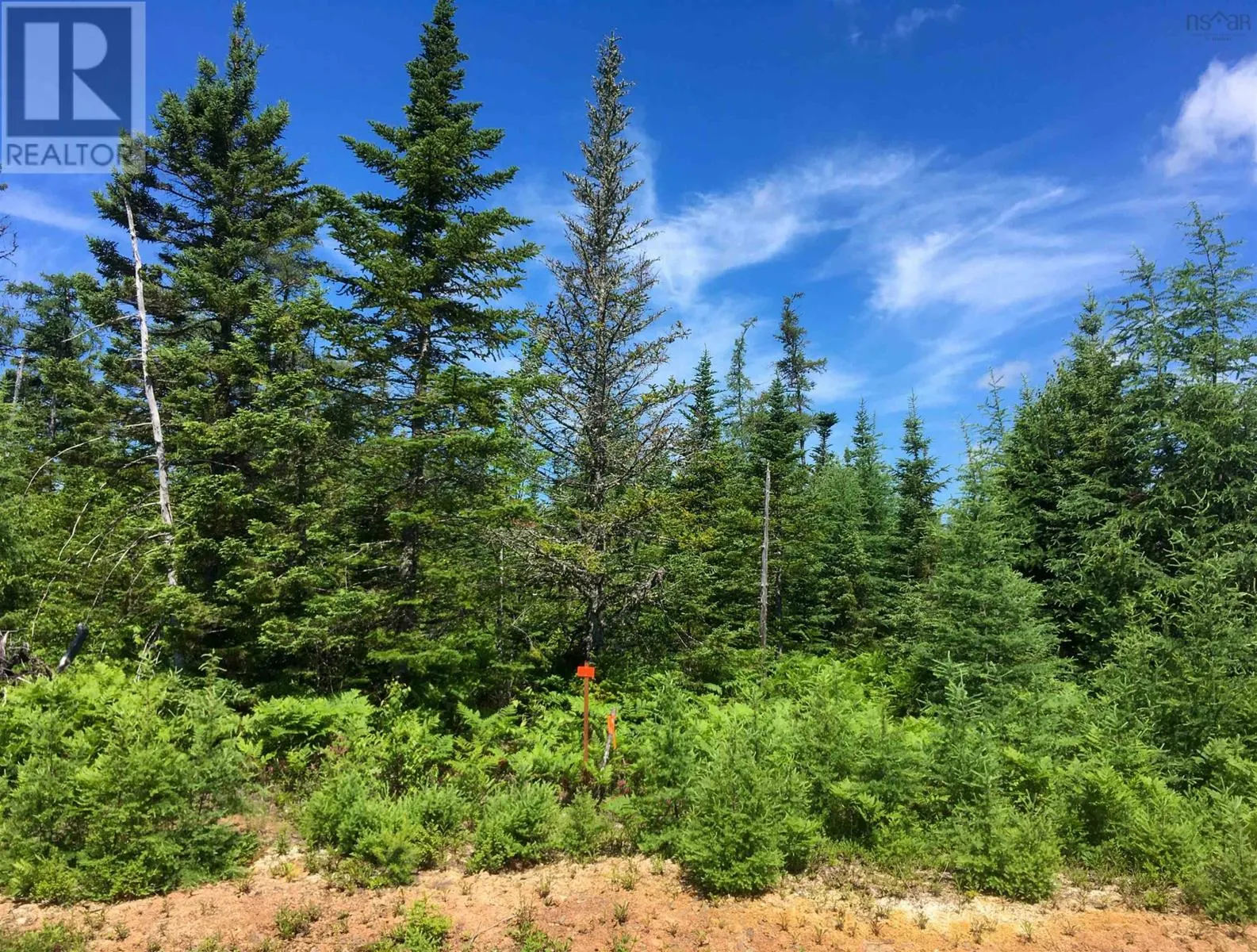 Lot 2 Lake Side Drive
