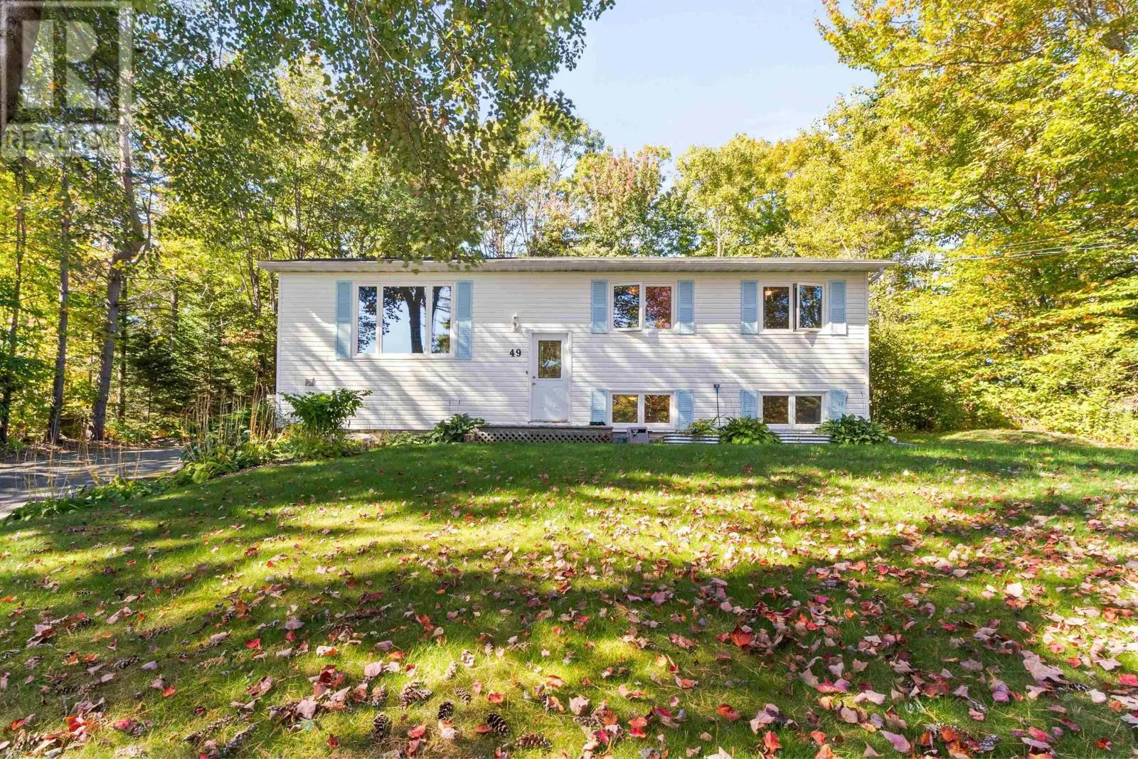 49 Pinetree Crescent