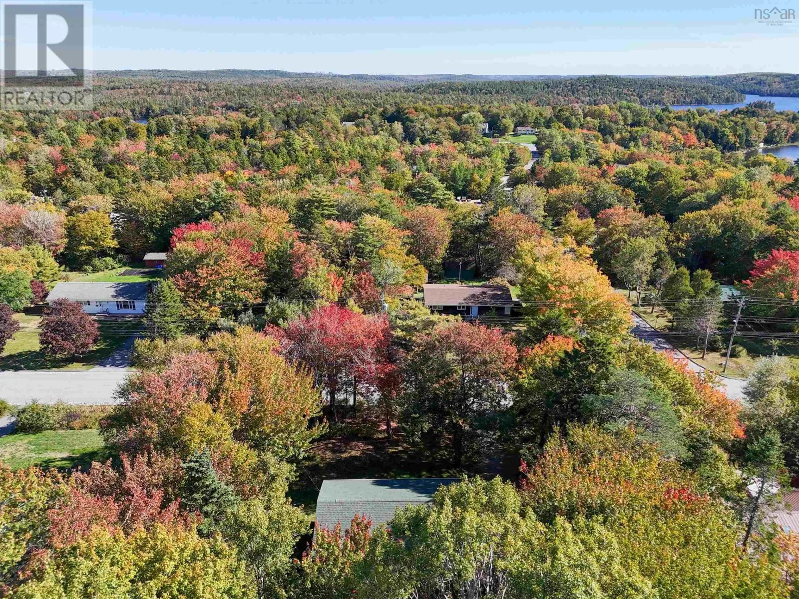 49 Pinetree Crescent