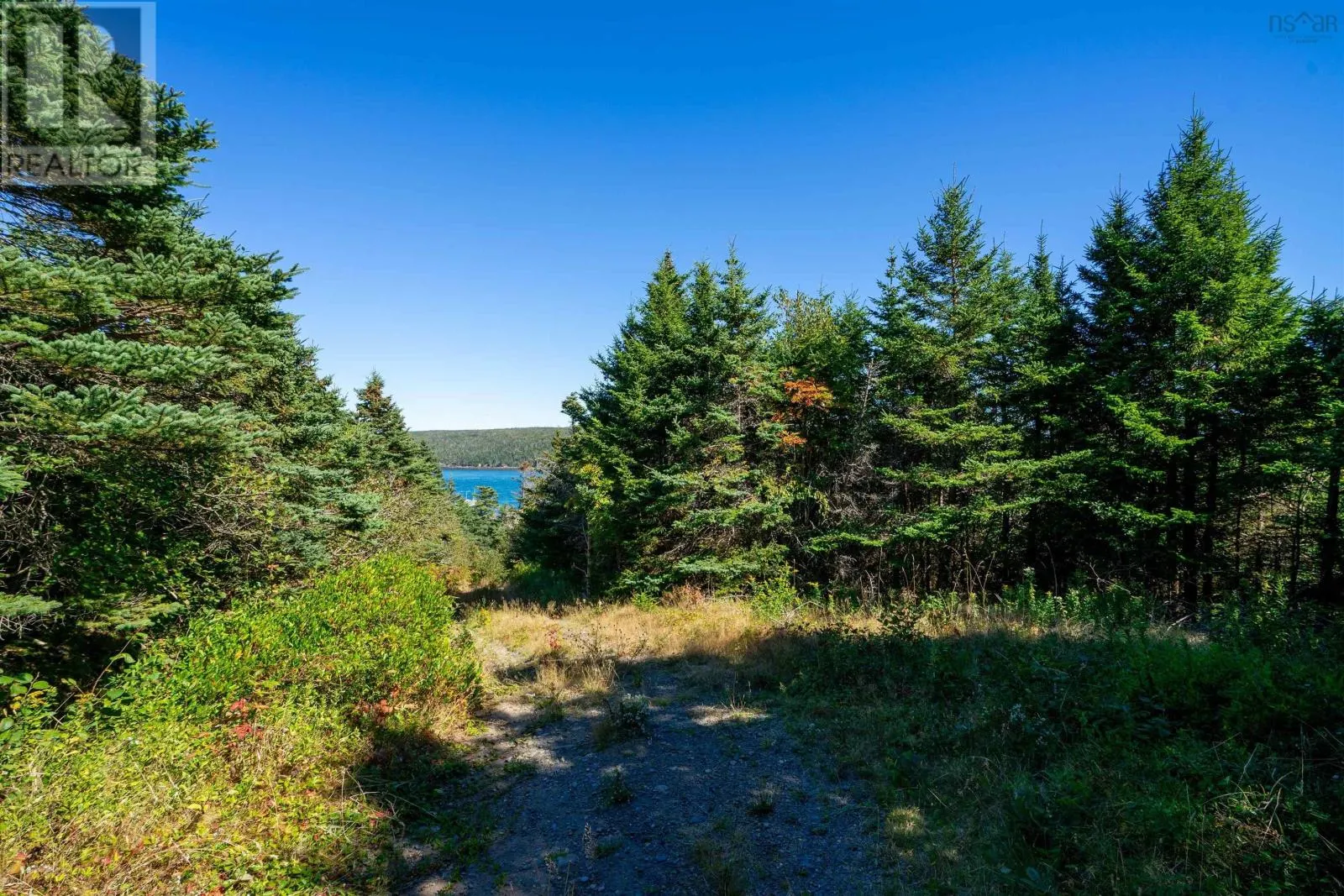 Bay of Fundy Land