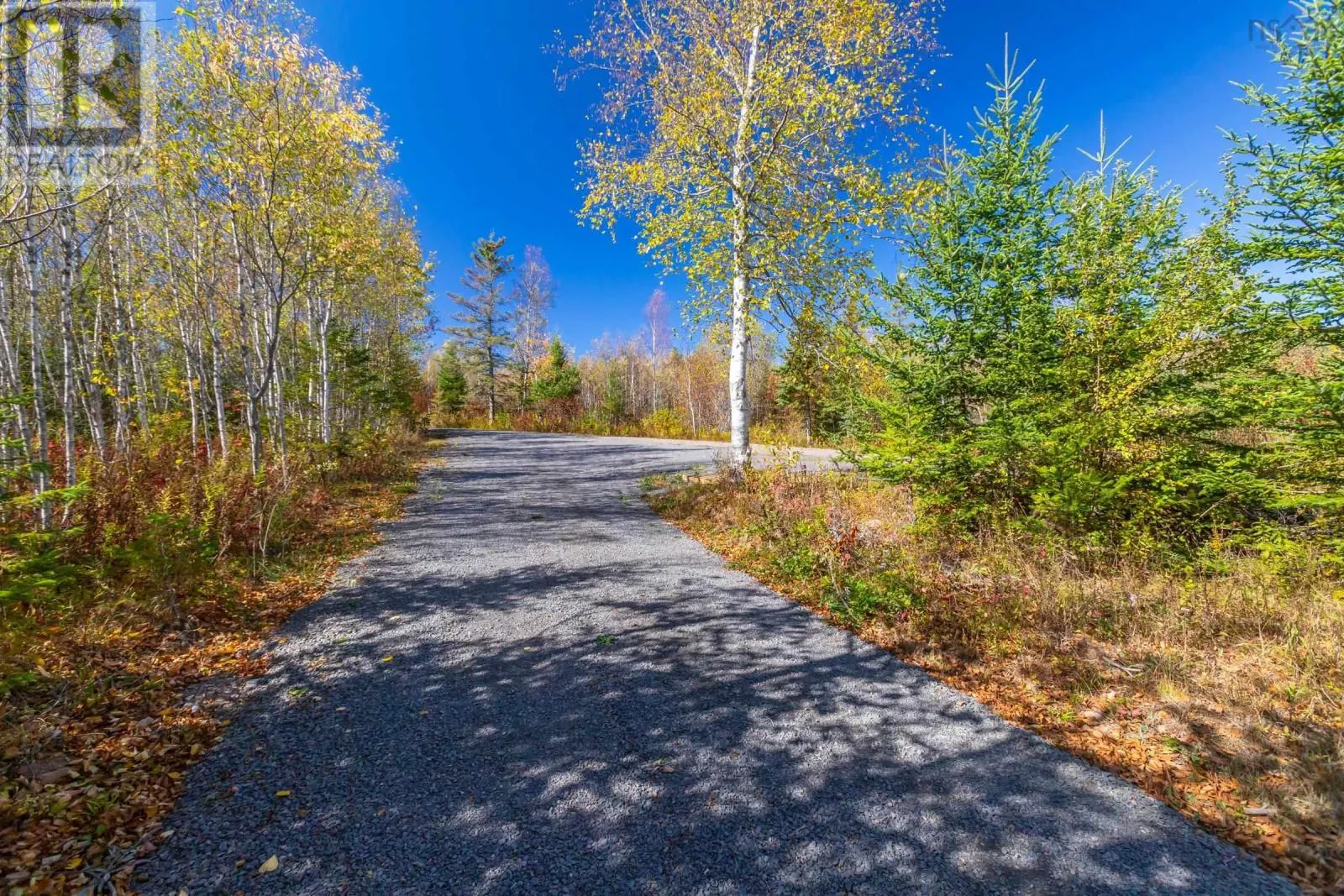 874 Stronach Mountain Road