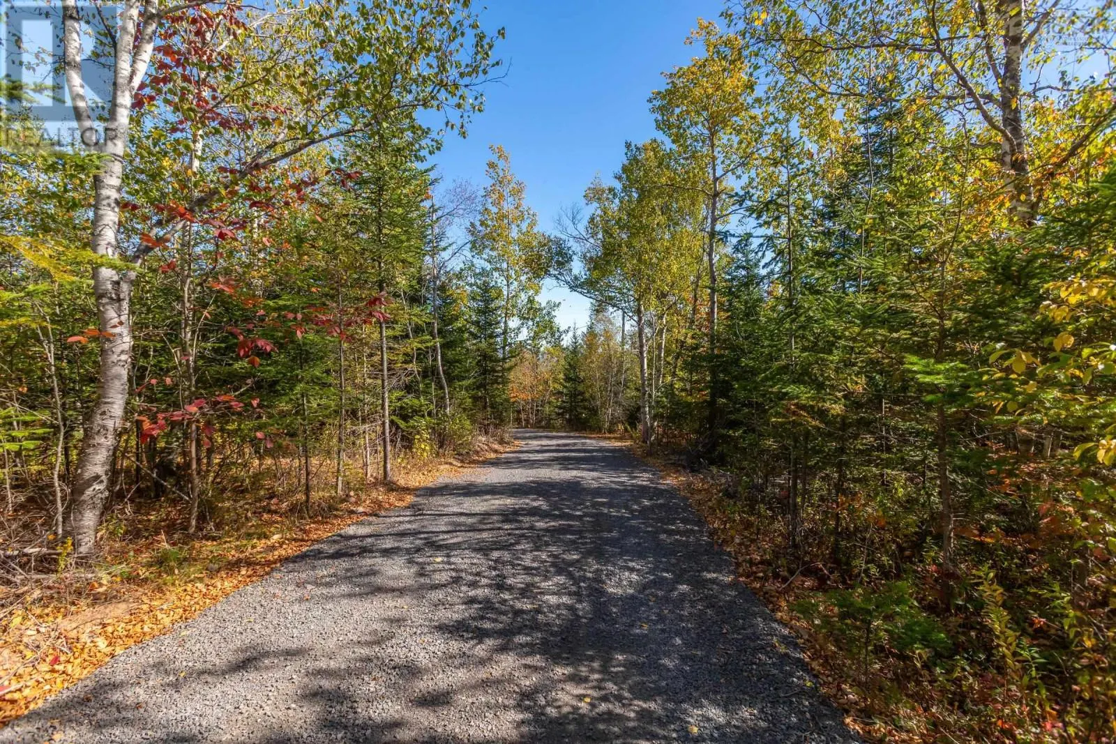 874 Stronach Mountain Road