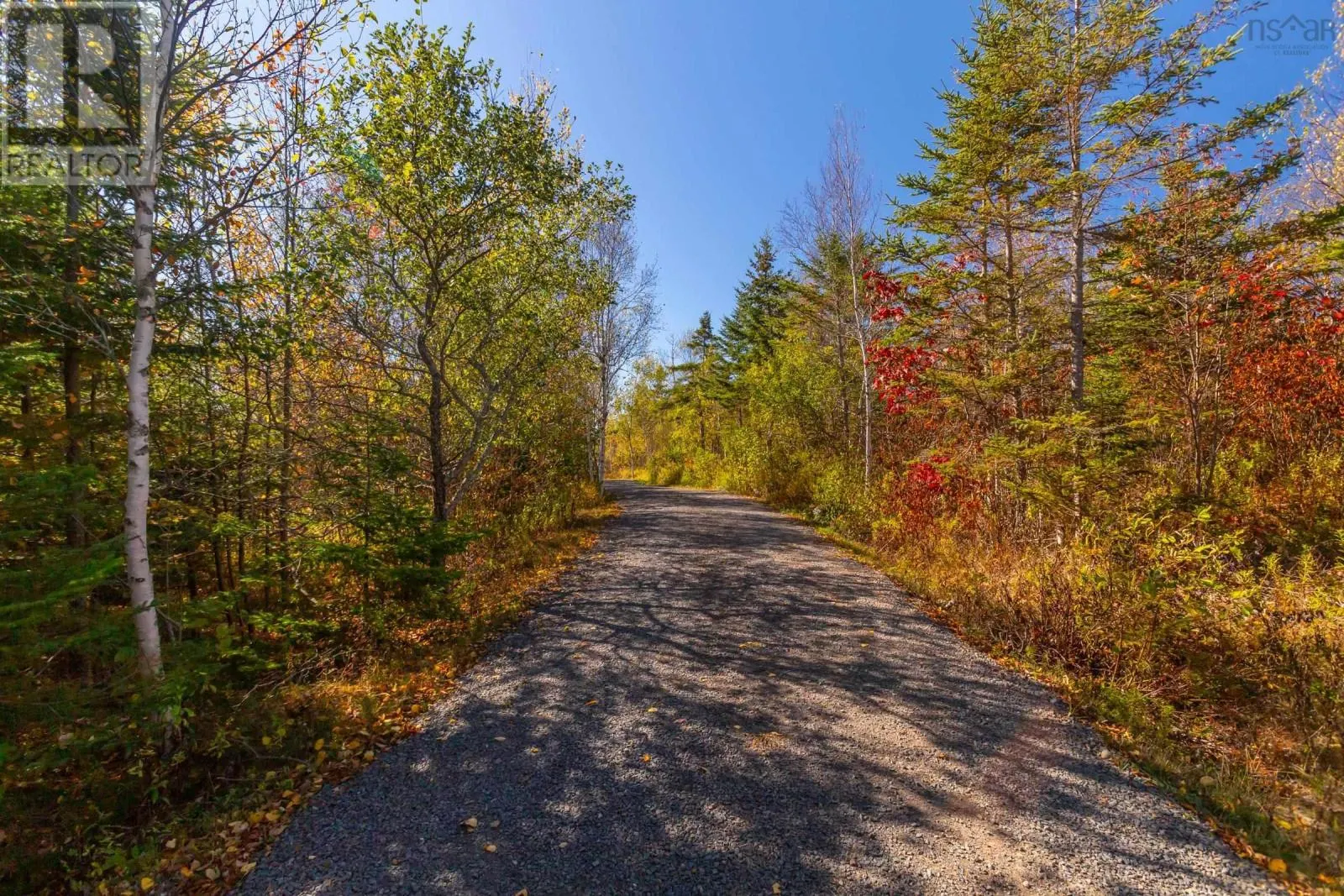 874 Stronach Mountain Road