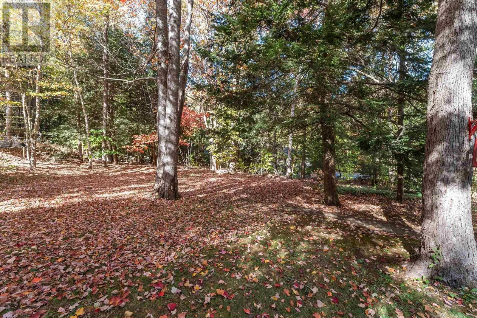 103 Elizabeth Dr  NS B4N 0K2