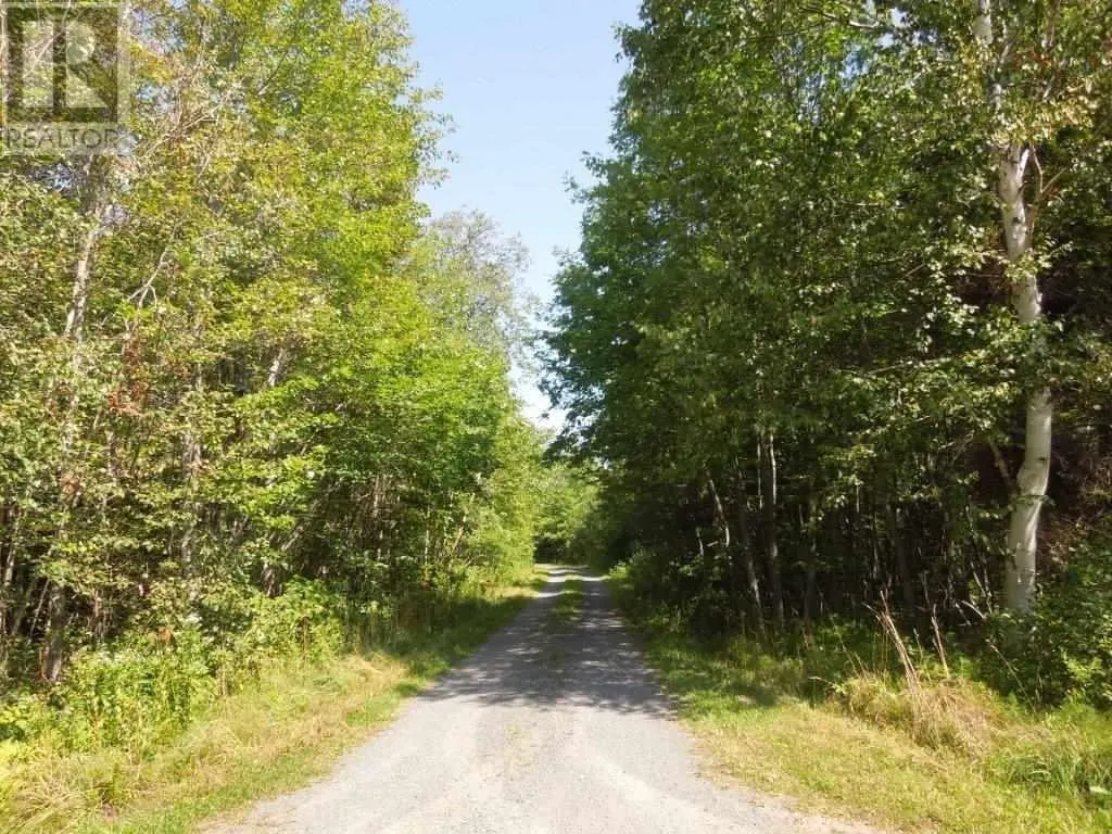 Lot Alexander Crescent