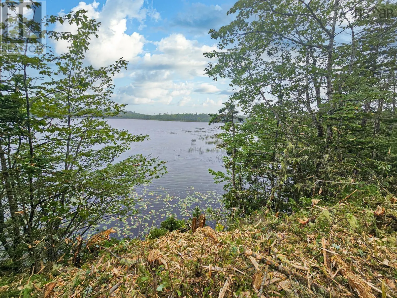 Lot 7 Dark Pond Lane