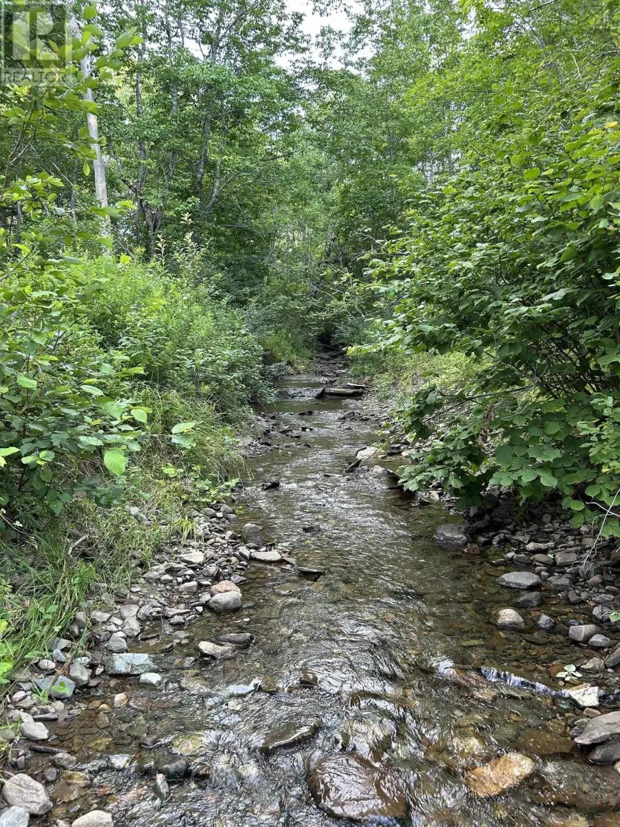 Ripley Road