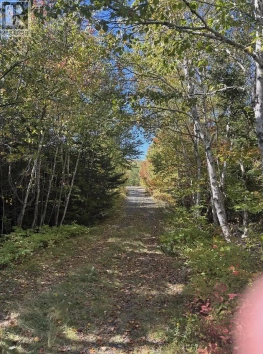 23 Lot Anderson Drive