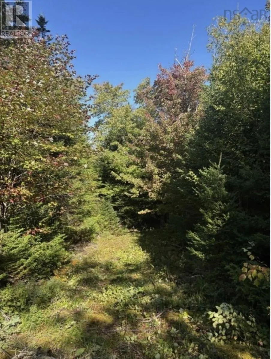 23 Lot Anderson Drive