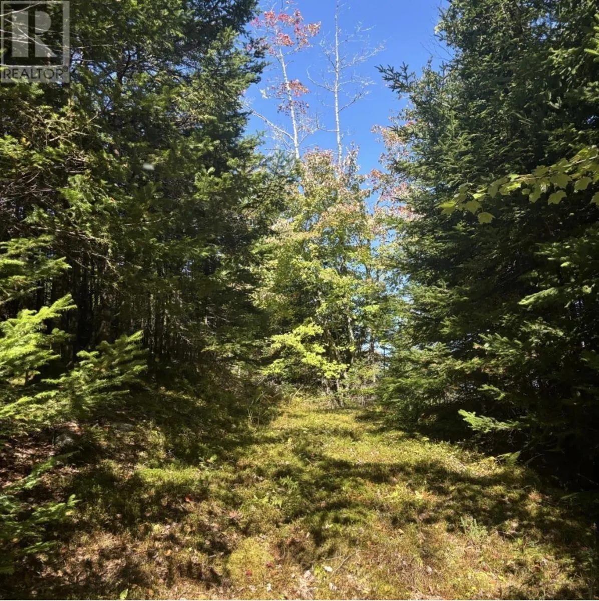 23 Lot Anderson Drive