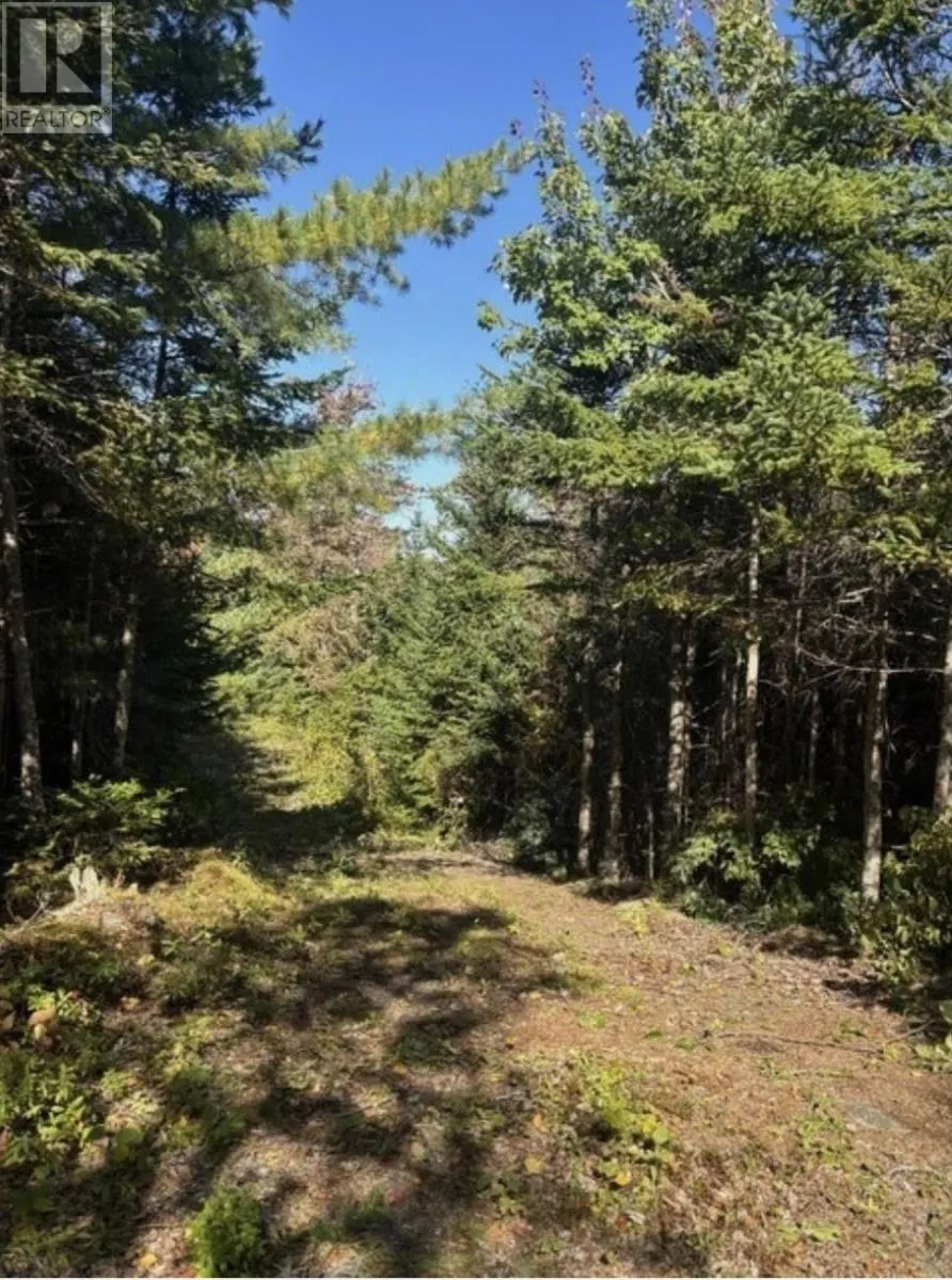 23 Lot Anderson Drive