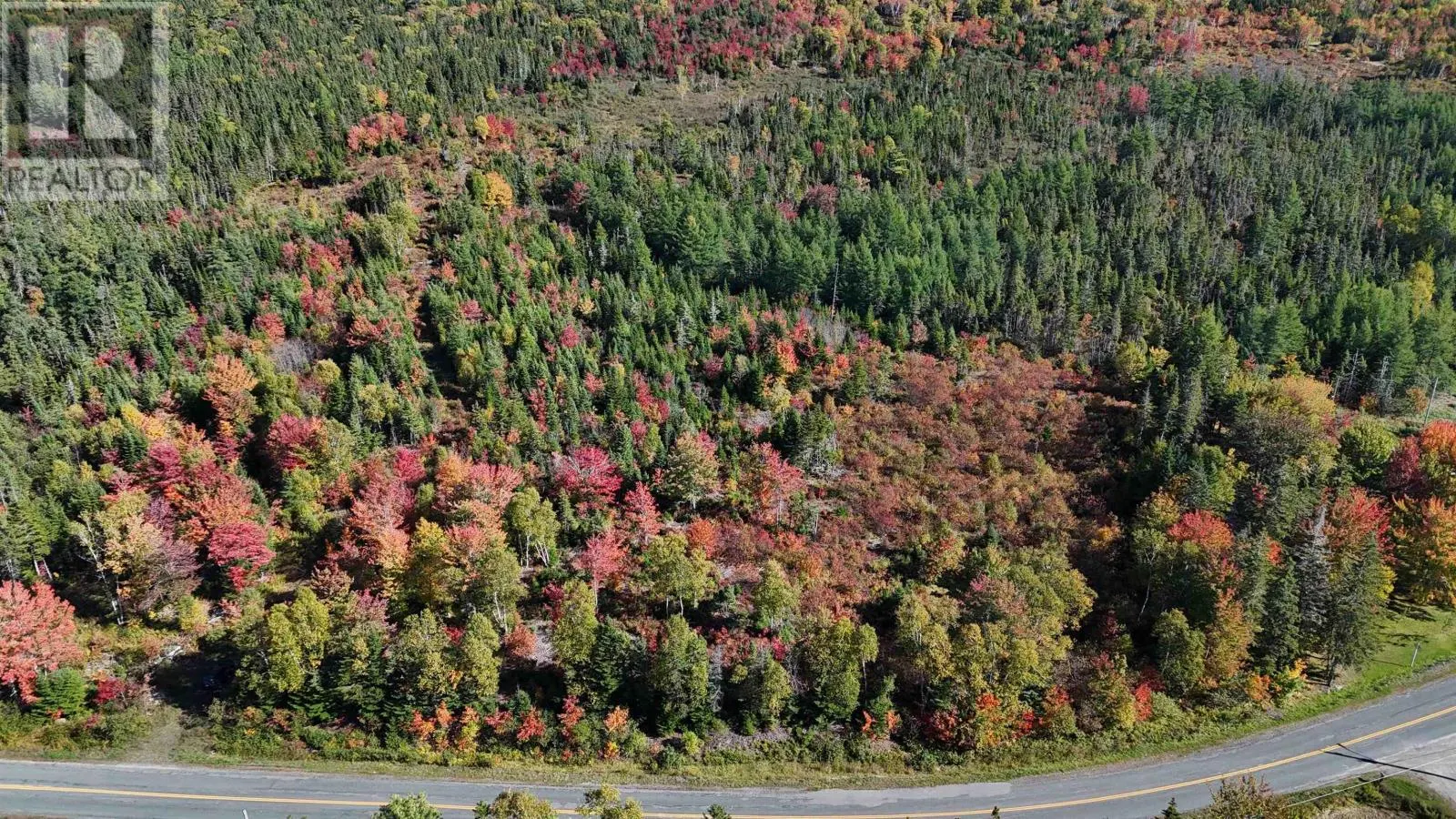 Big Baddeck Road