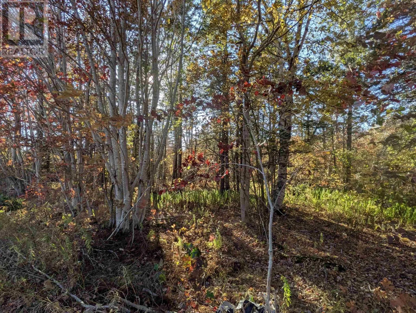 Lot 21 Shore Road E