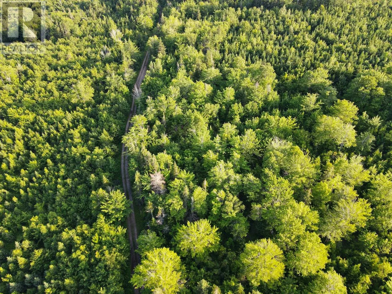 Lot 4 West Side Ainslie Glen Road