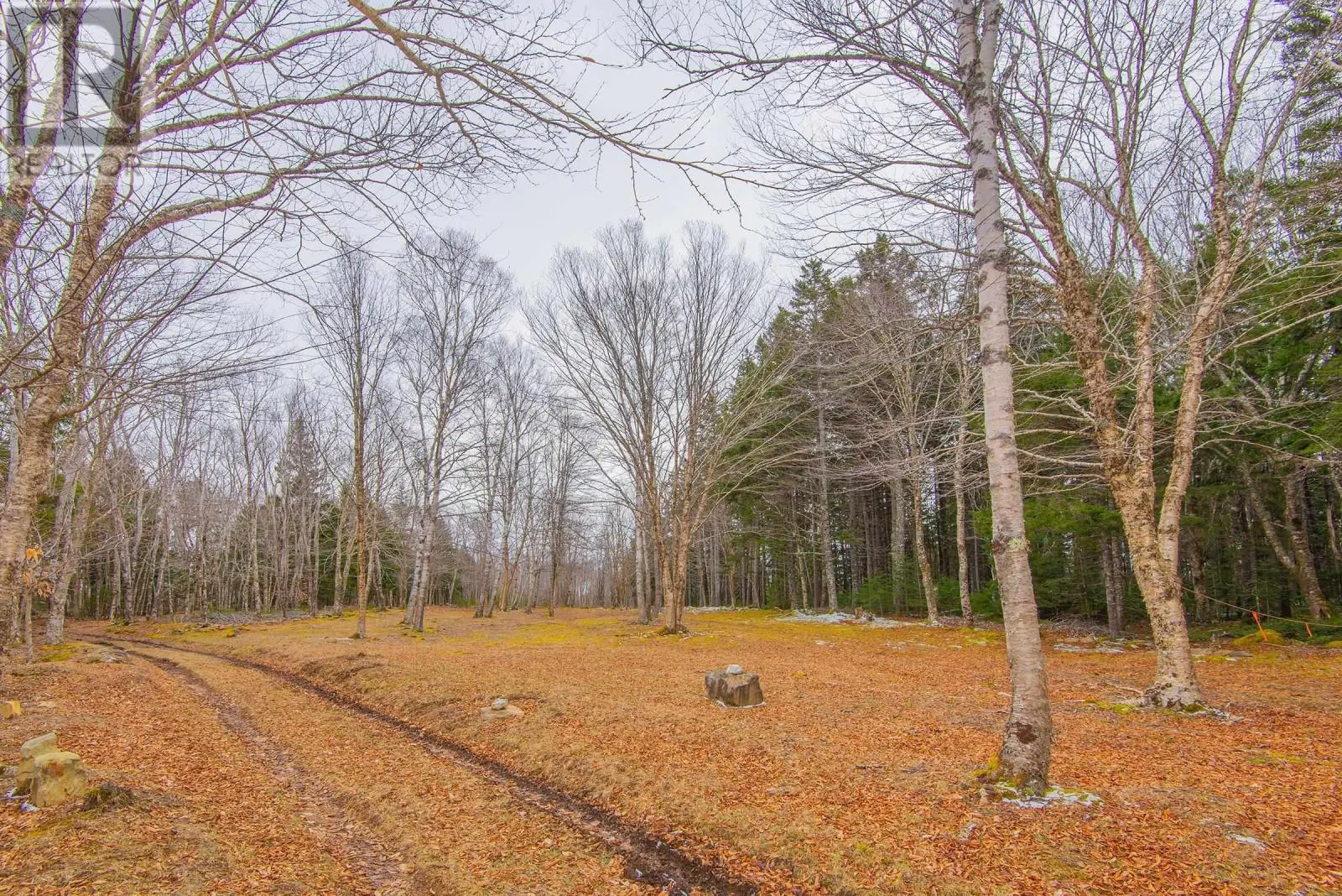 Lot Peter Leblanc Road