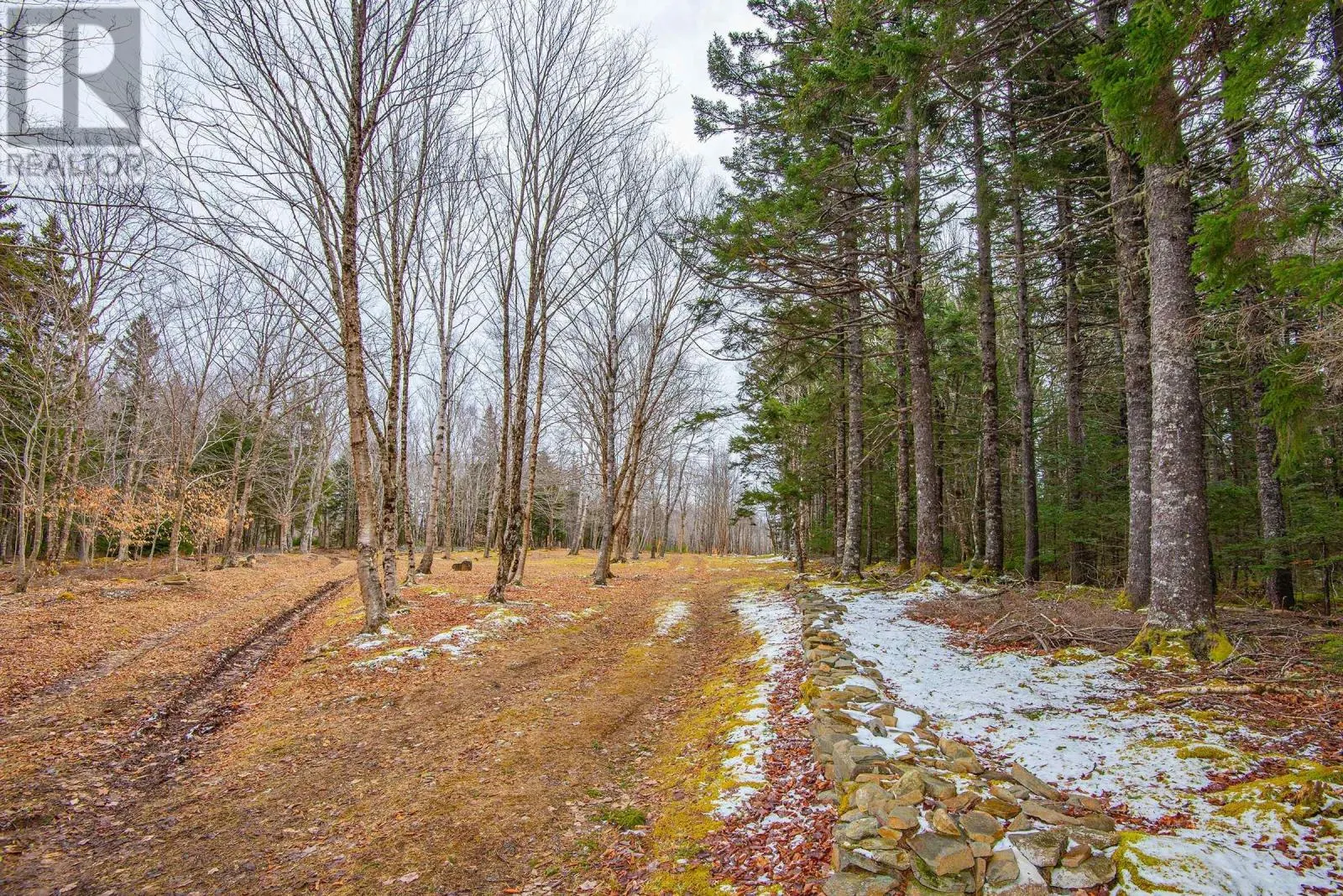 Lot Peter Leblanc Road