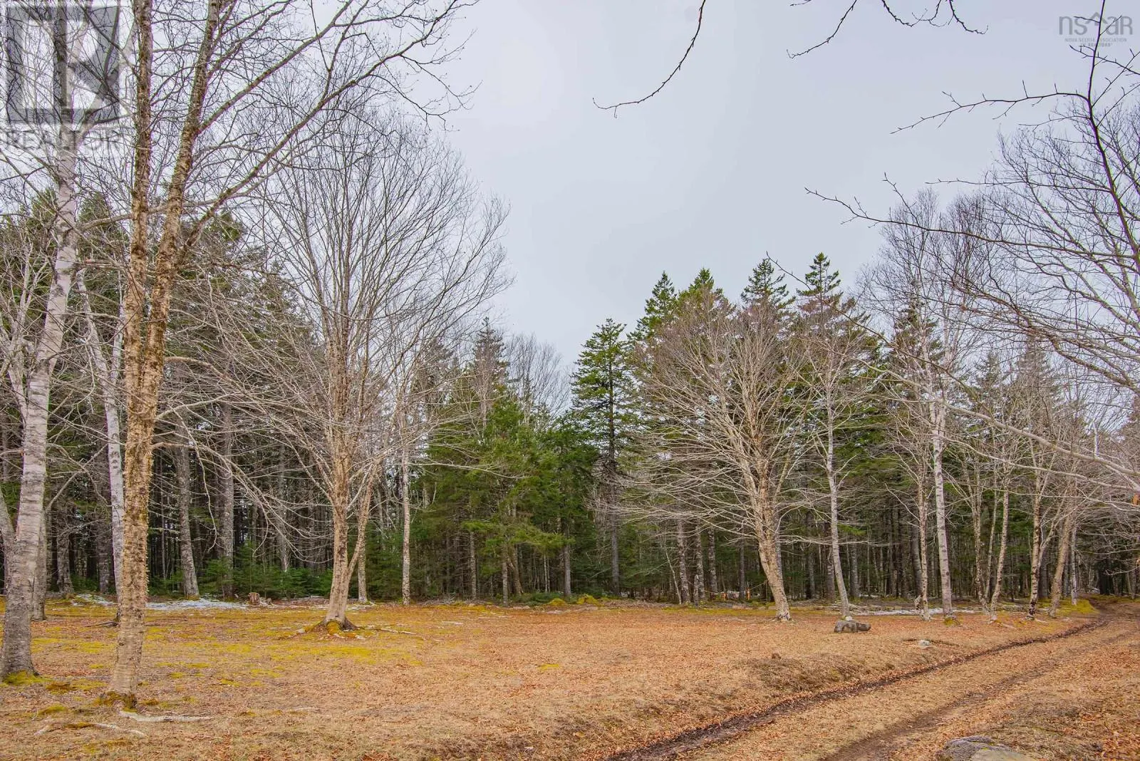 Lot Peter Leblanc Road