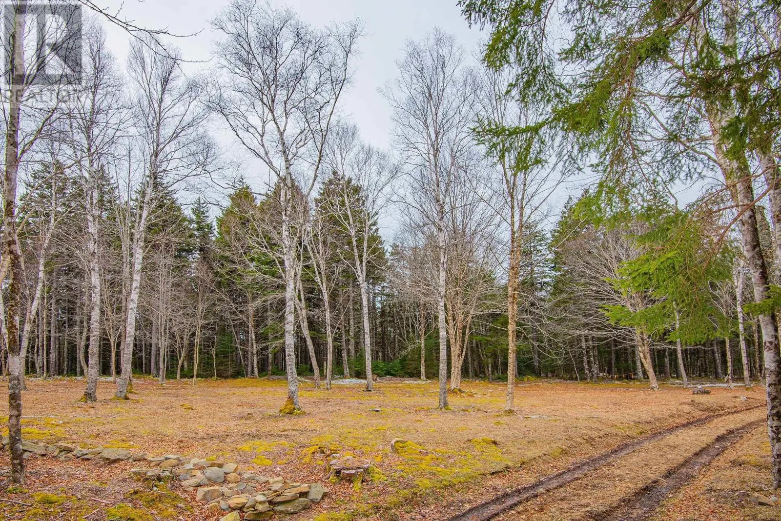 Lot Peter Leblanc Road