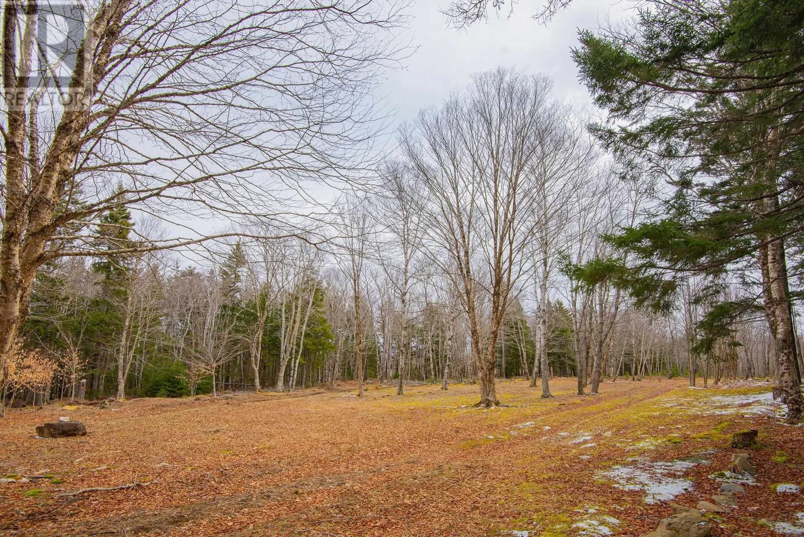 Lot Peter Leblanc Road