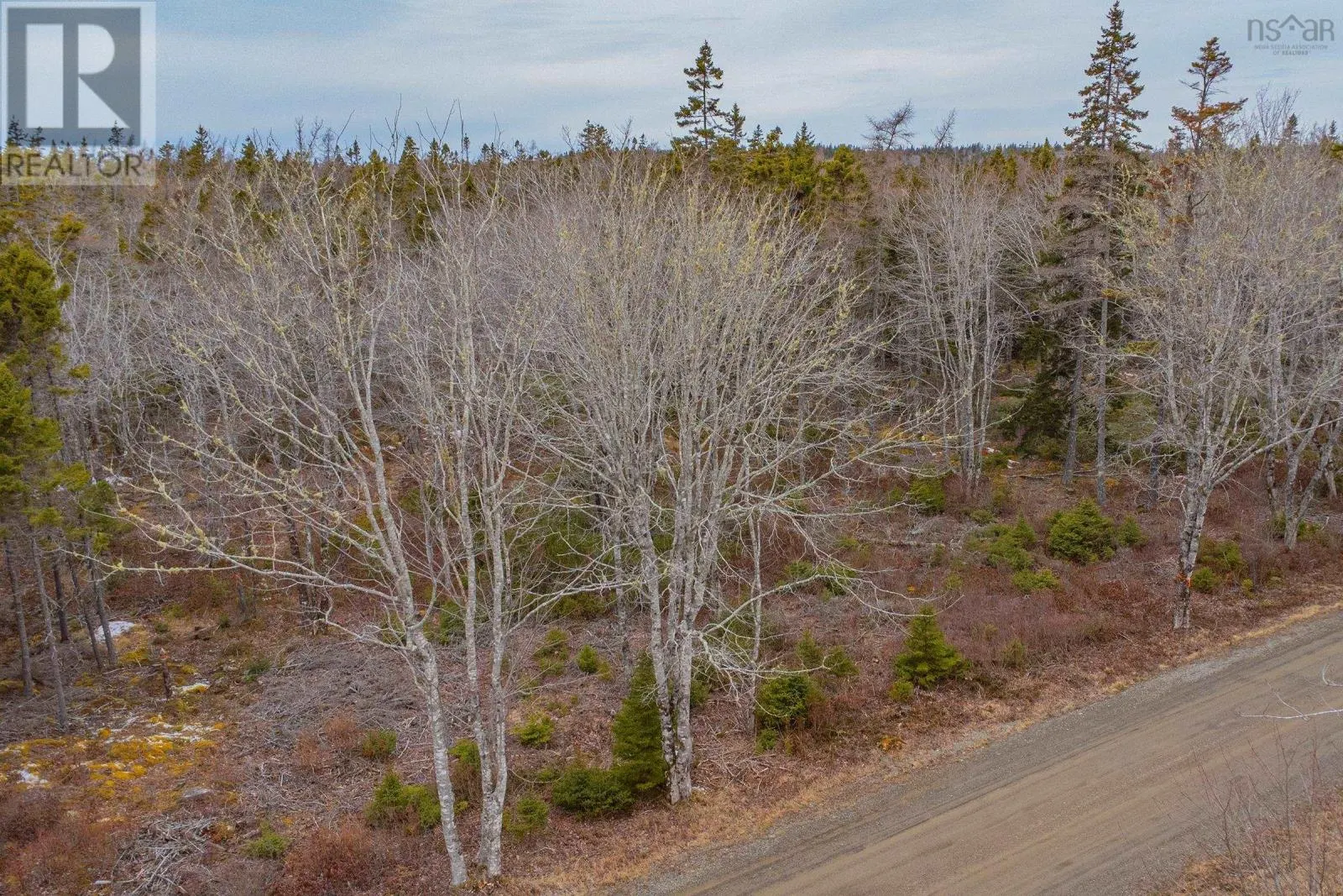 Lot Peter Leblanc Road
