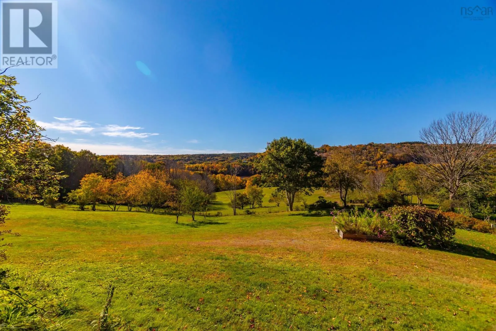 481 Chute Road