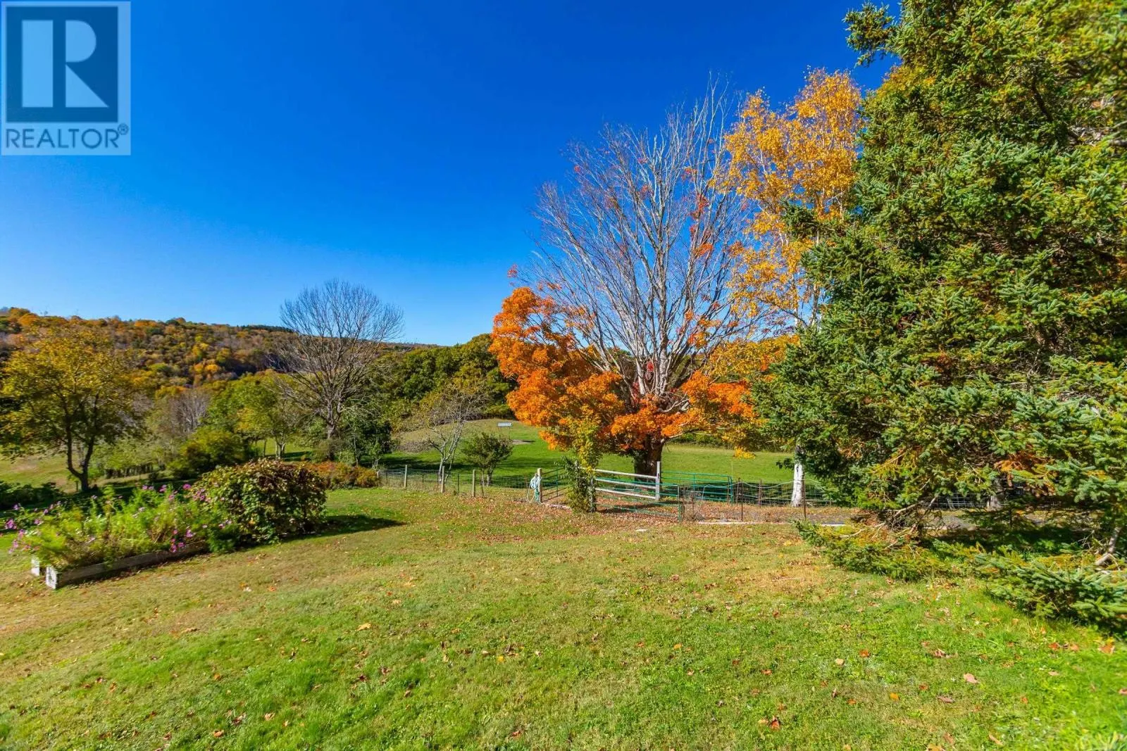 481 Chute Road
