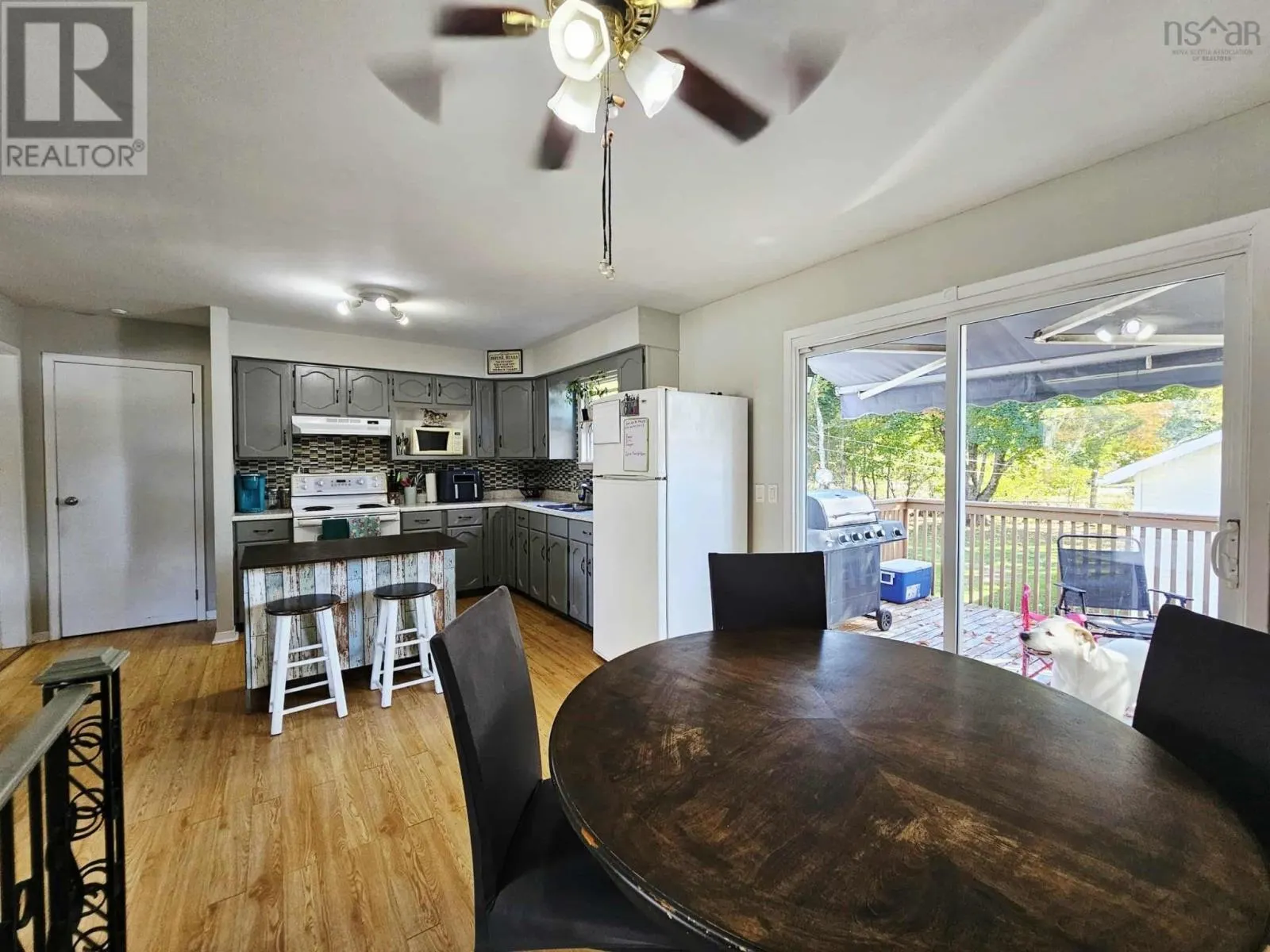 45 Salter Avenue