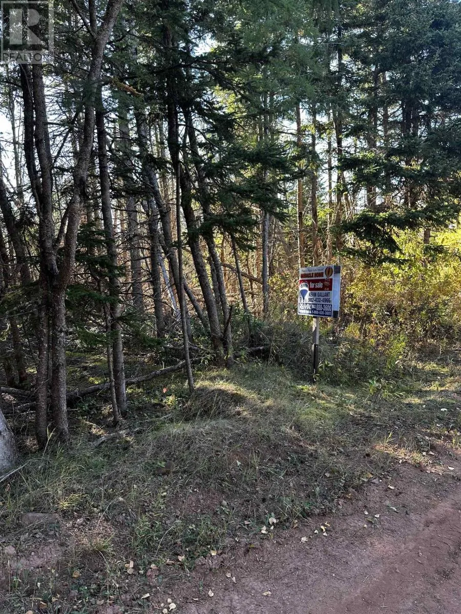 Lot 1 Dune Road