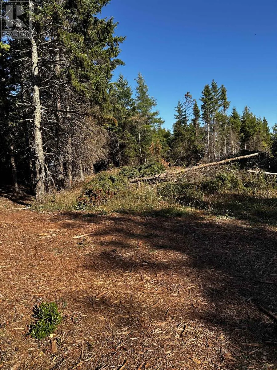 Lot 1 Dune Road