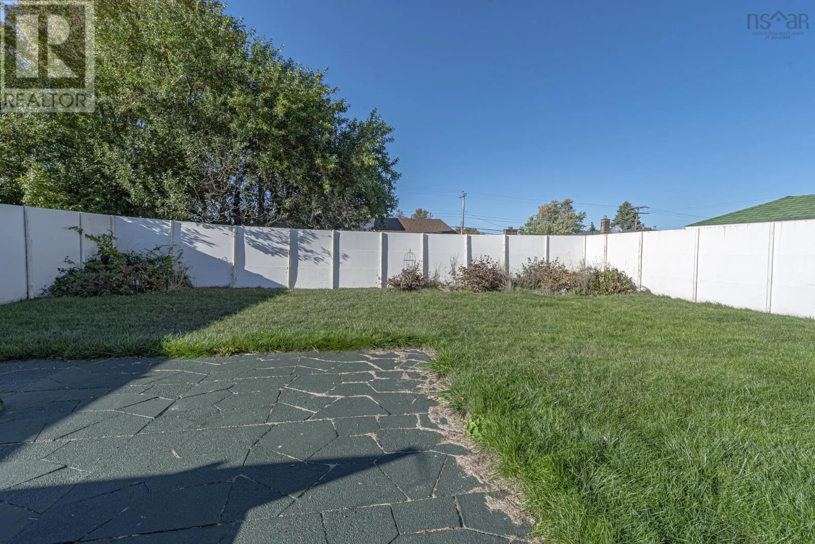 389 Dunbar Avenue