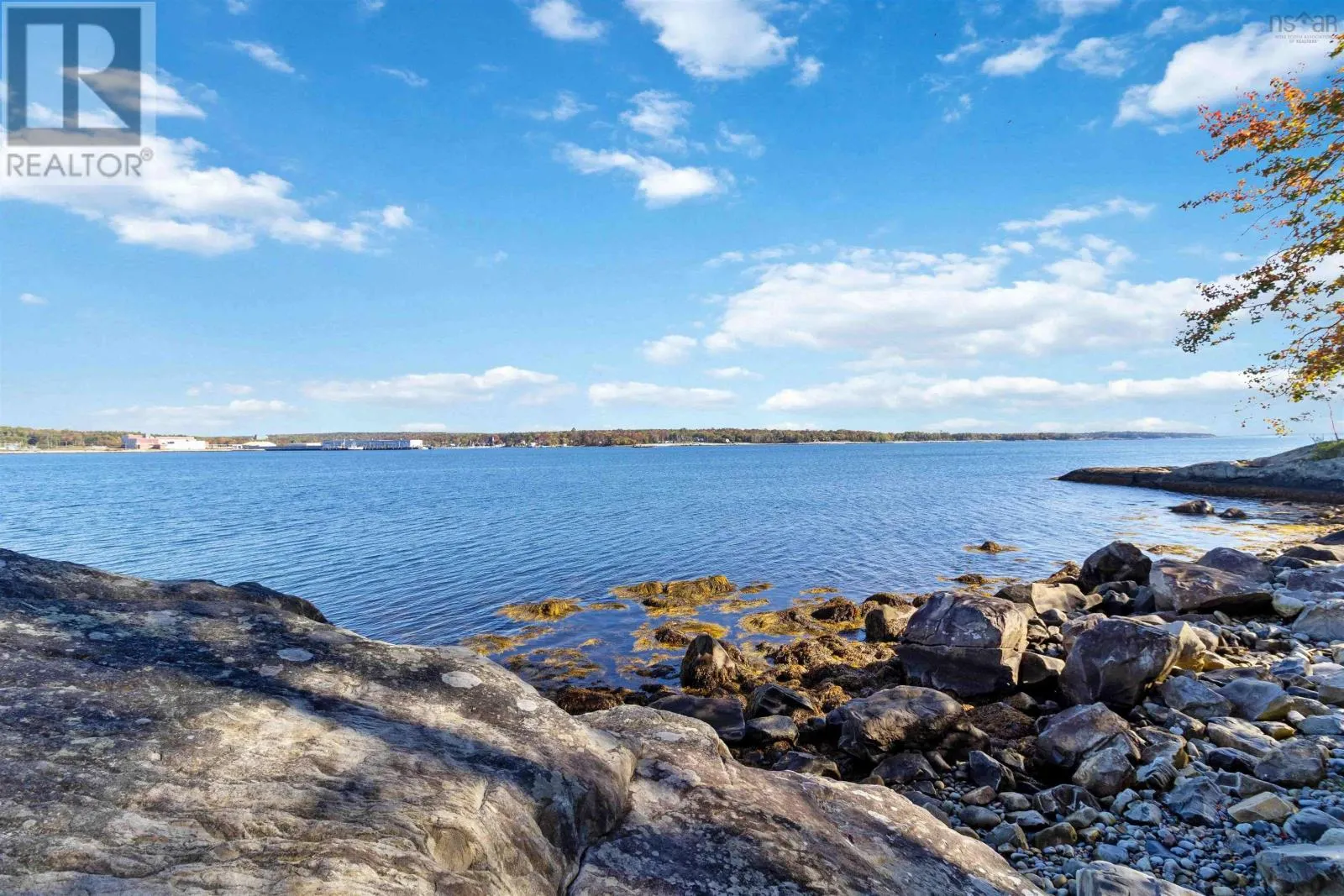 65 Shore Road
