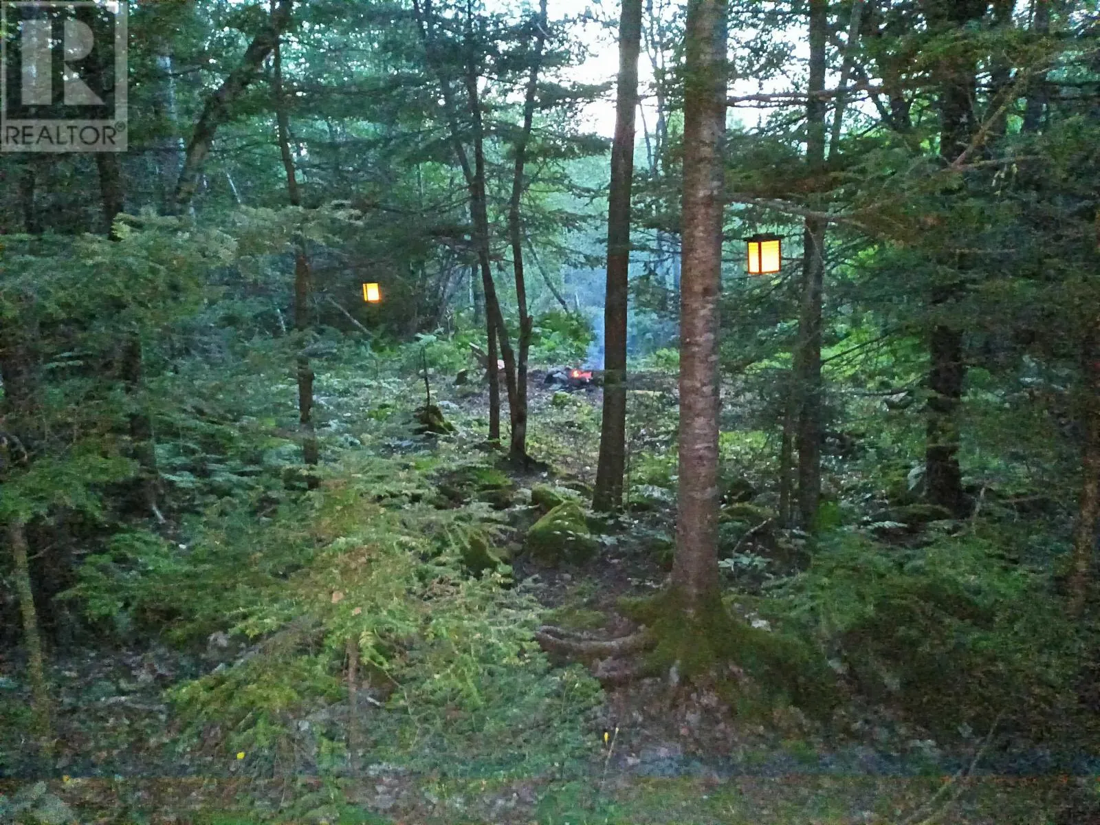 65 Shore Road