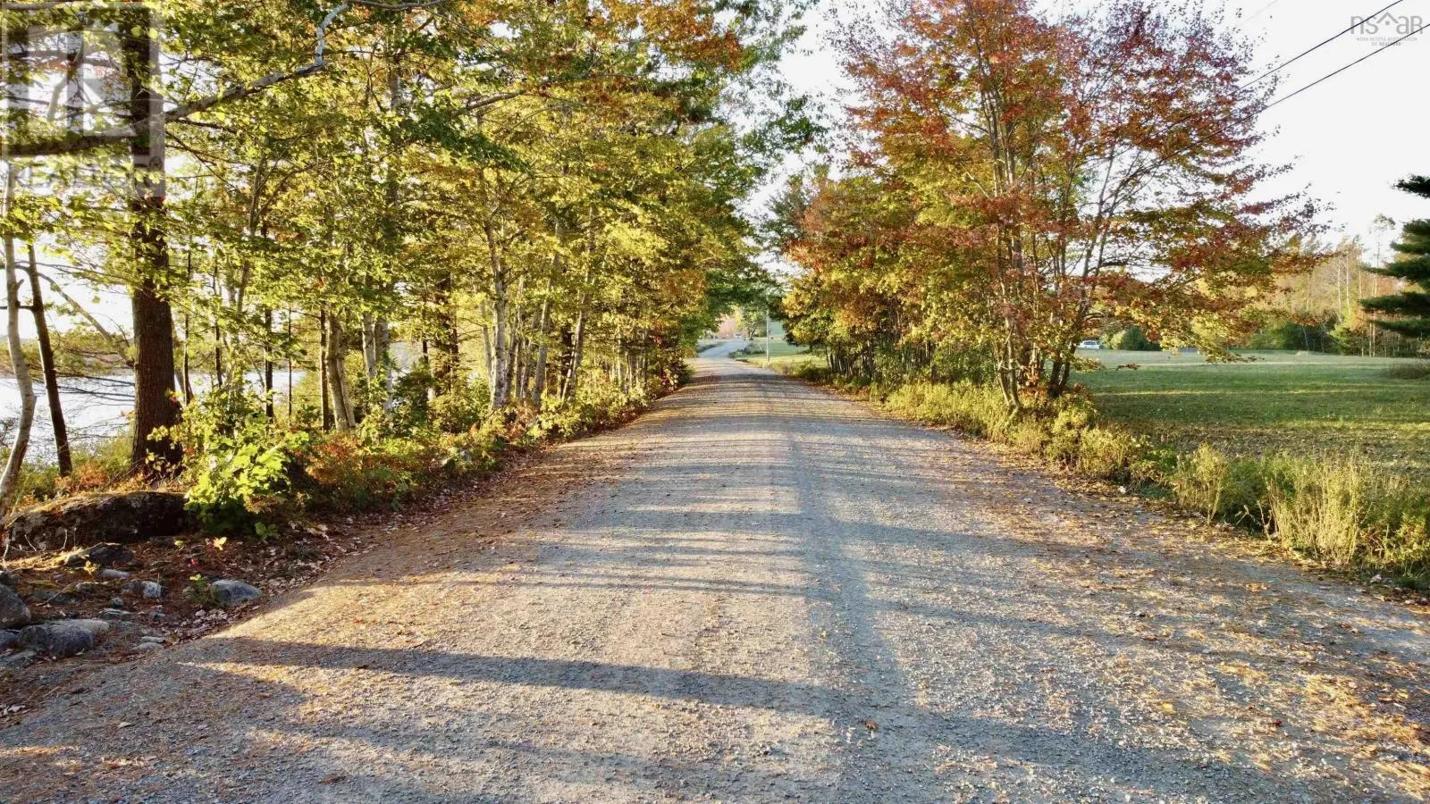 102 Harold Silver Road