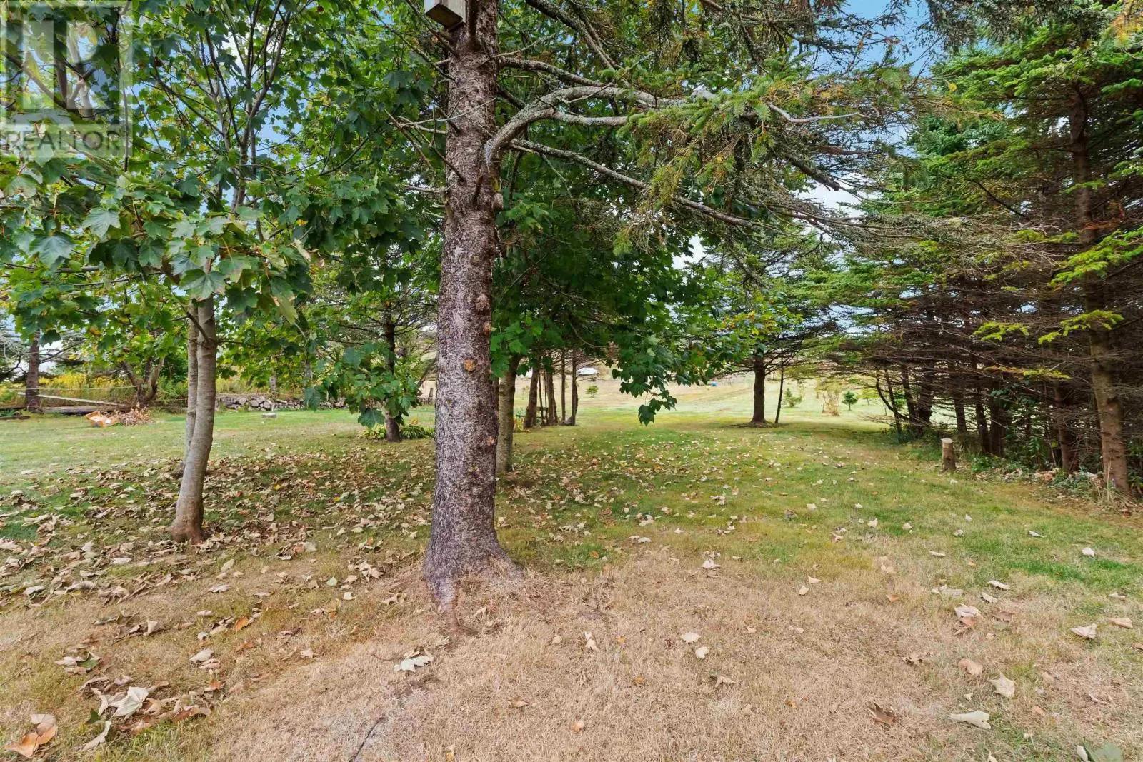 31 Overcove Road