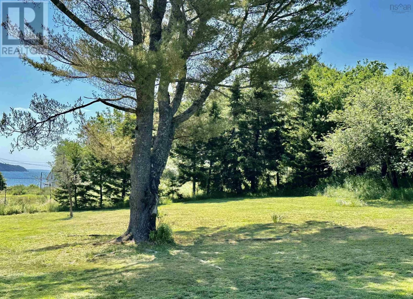 3646 Highway 331