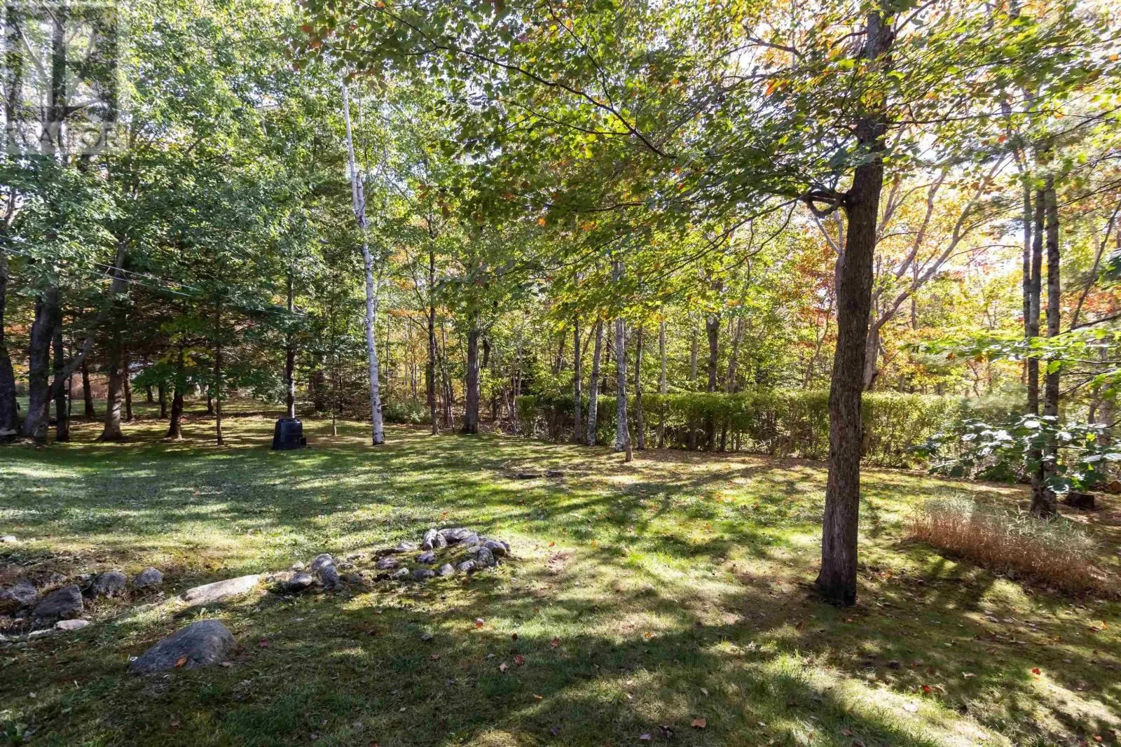127 White Birch Drive