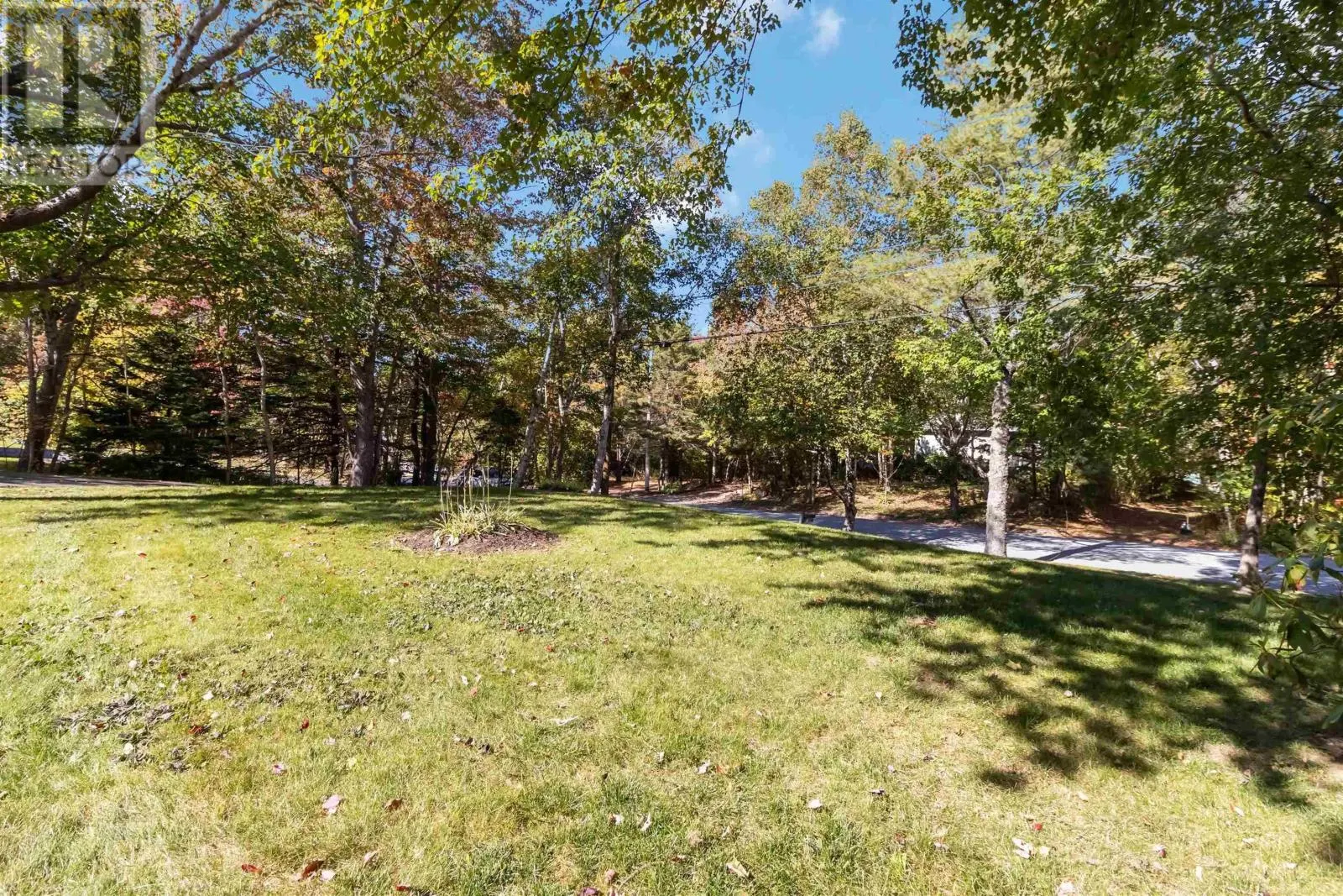 127 White Birch Drive