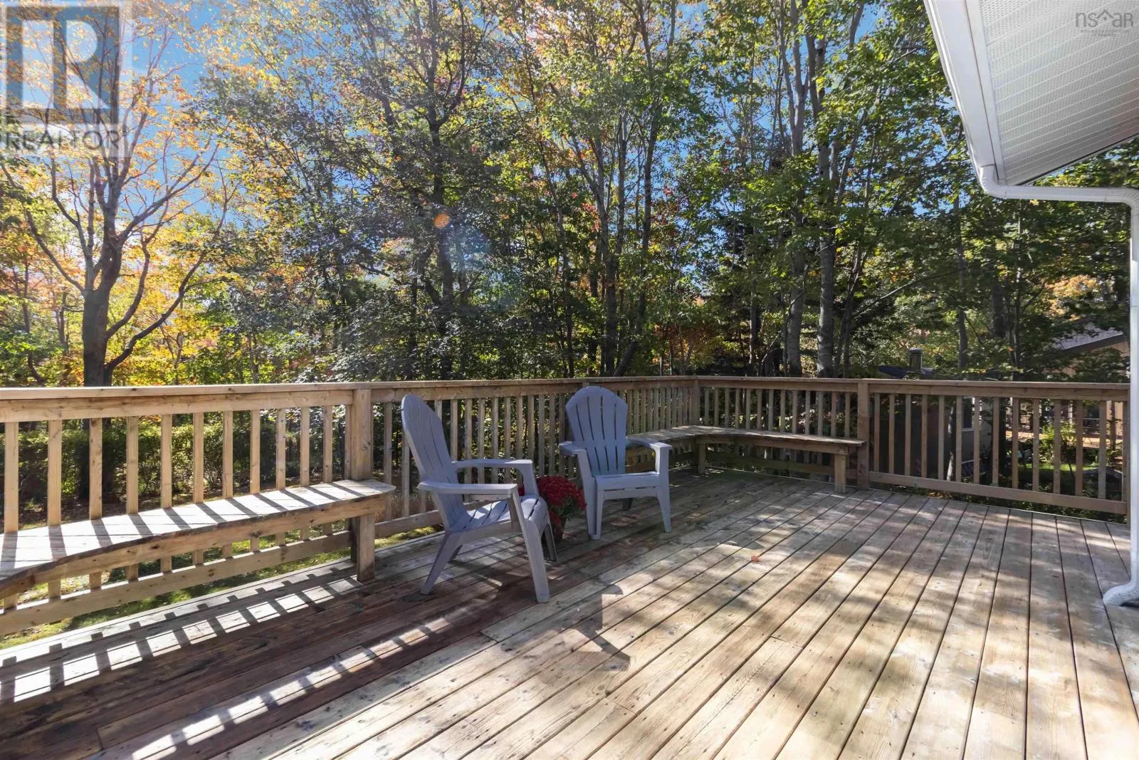 127 White Birch Drive