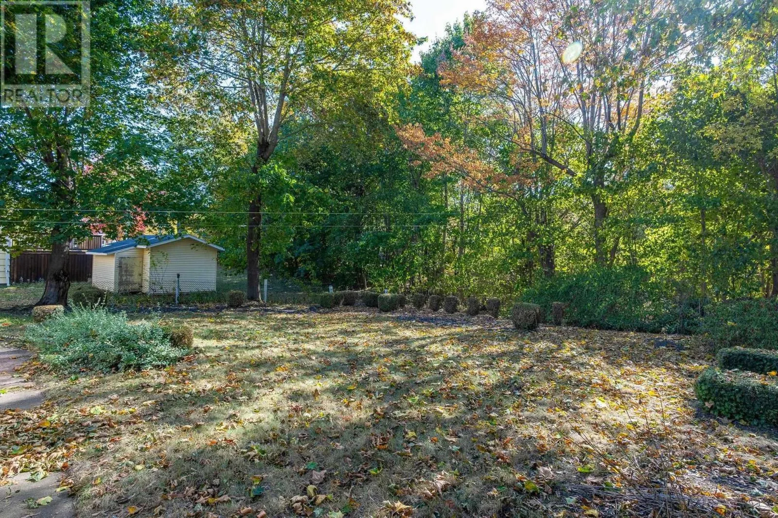 8 Redden Avenue
