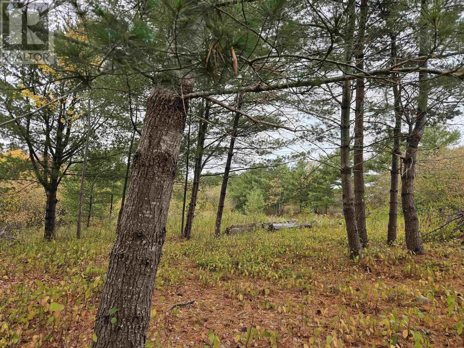 Lot (PID 70266457) Highway 8