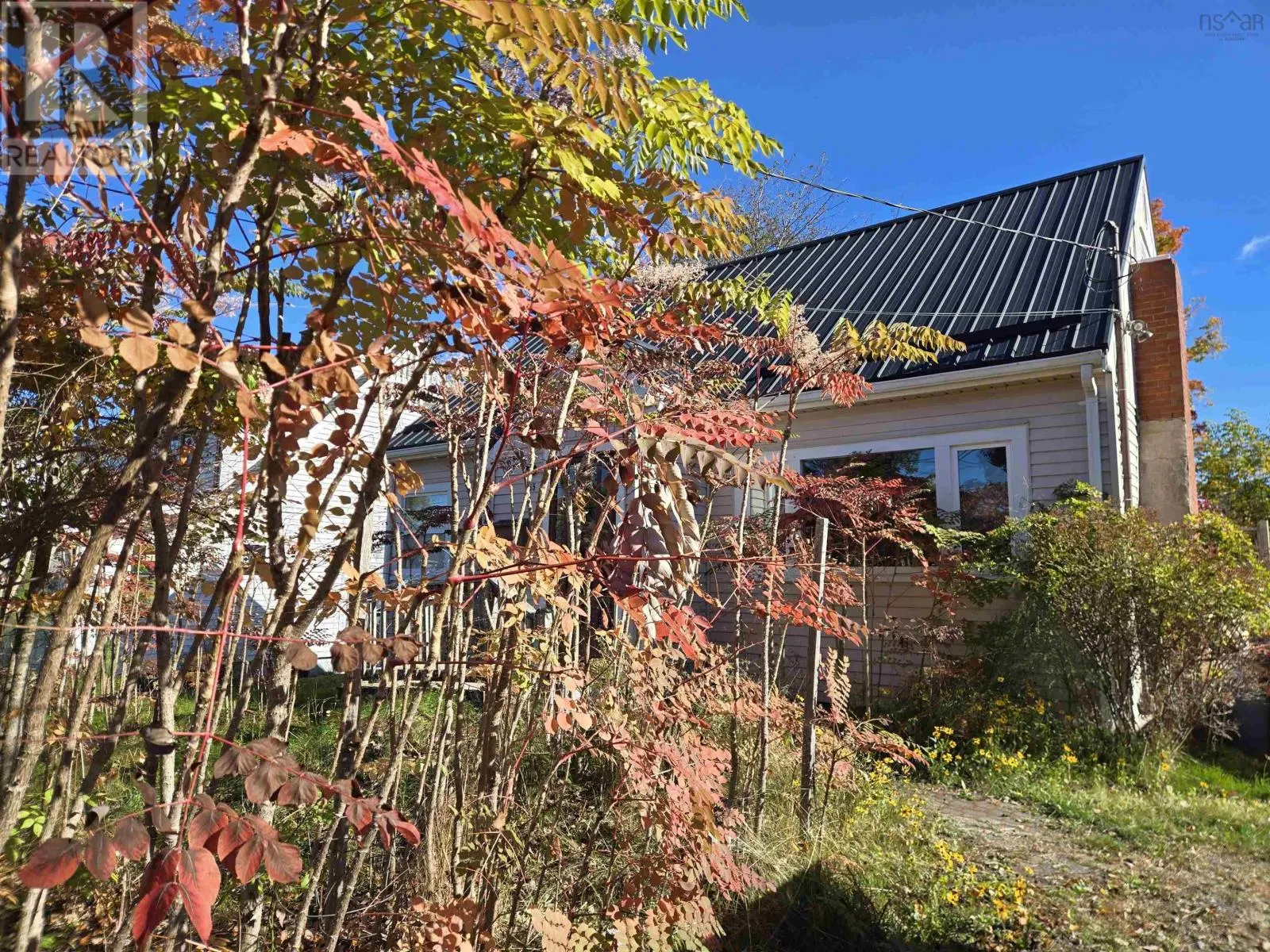 55 Archibald St